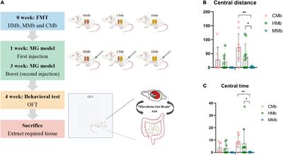 Altered Metabolism of the Microbiota–Gut–Brain Axis Is Linked With Comorbid Anxiety in Fecal Recipient Mice of Myasthenia Gravis